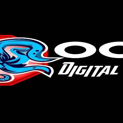 Octo Digital Forensics